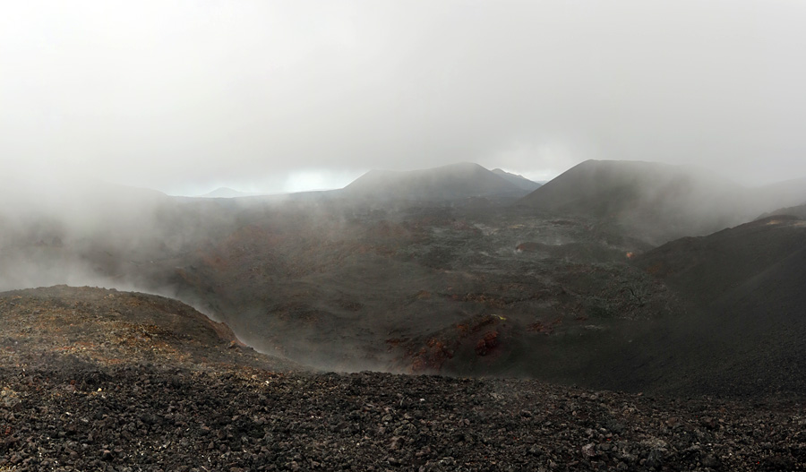 панорама с вулкана Плоский Толбачик