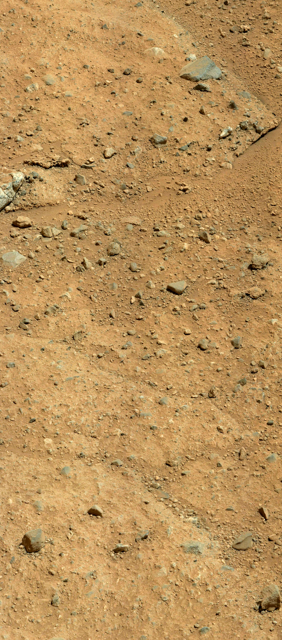 панорама с правой мачтовой камеры марсохода Curiosity