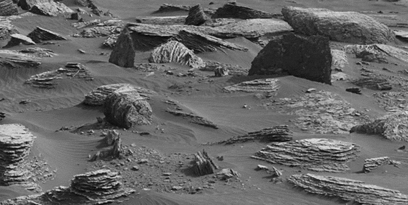 как выглядит марсианский пень на самом деле
